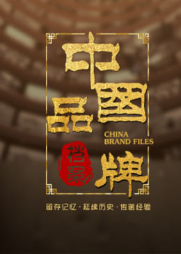 中国品牌档案