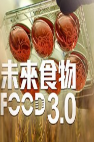 未来食物3粤语版