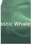 塑胶杀鲸事件