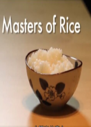 稻米故事